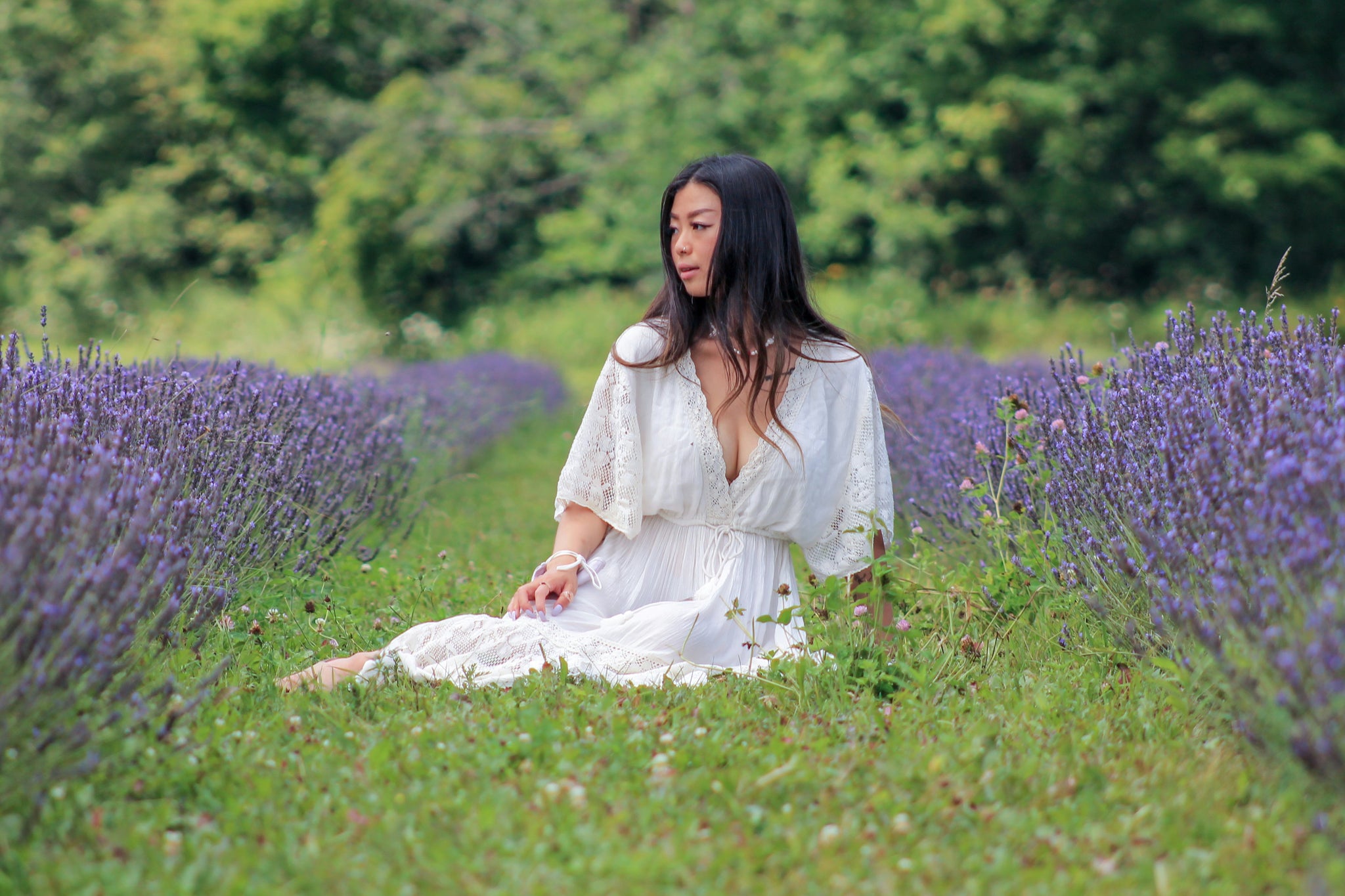 Discover the Magic of Lavender: Ontario's 2024 Lavender Festivals